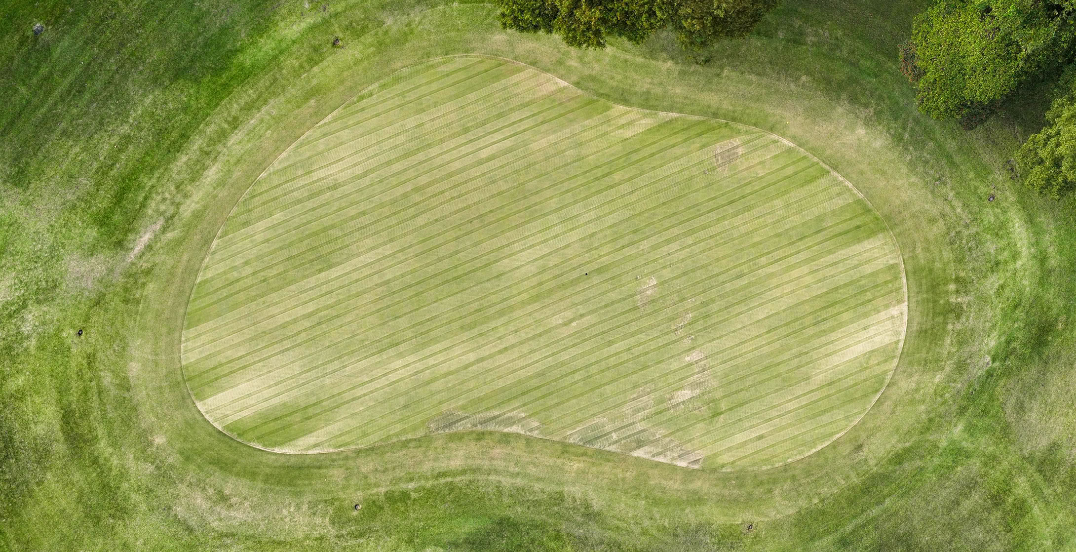 植生マップの通常撮影画像